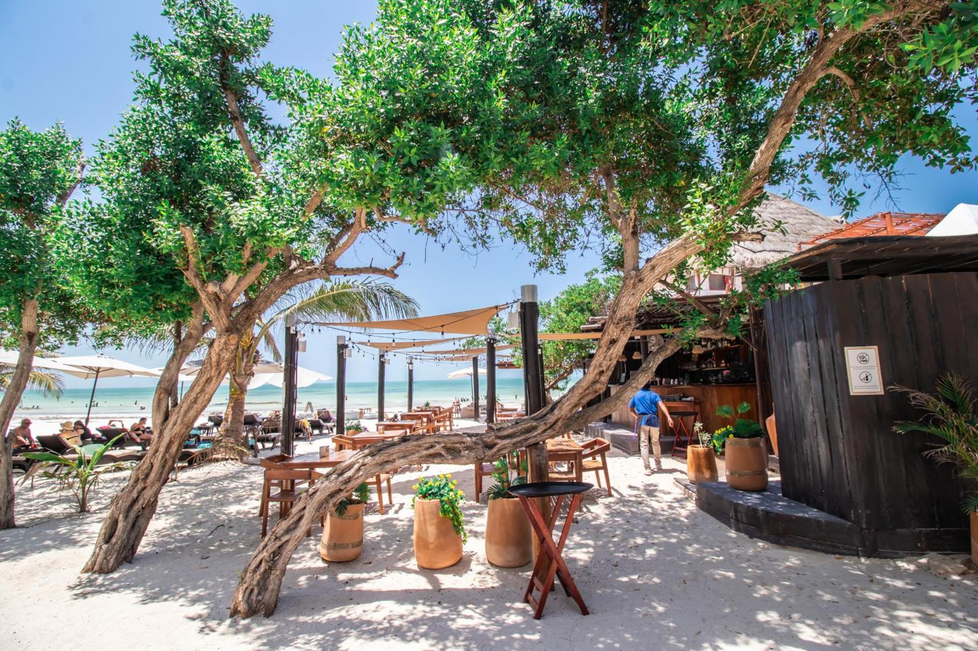 Hotel Hau Holbox, Oceanfront Boutique